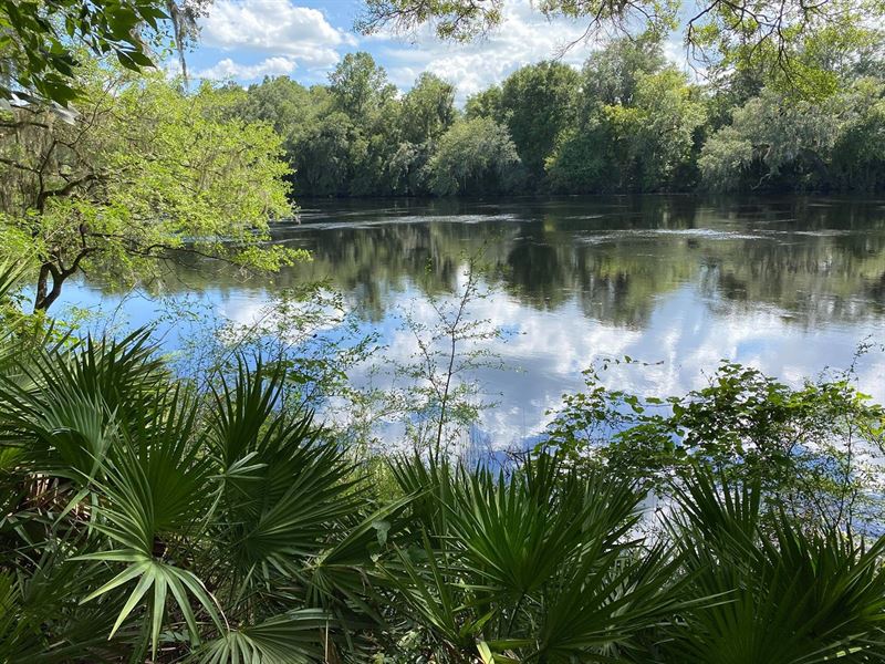 Suwannee River Listing Land for Sale in O'brien, Suwannee County