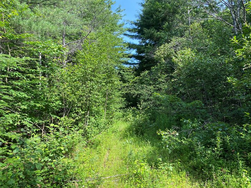 Somerset County Maine Land for Sale : Anson : Somerset County : Maine