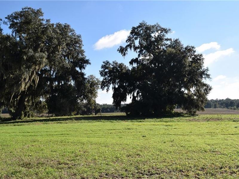 85 Acre Private Oasis : Brooksville : Hernando County : Florida