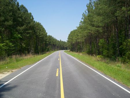 Timberland Investment Tract : Linden : Cumberland County : North Carolina