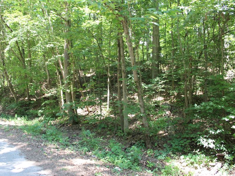 Land TN River, Fishing, Boating : Crump : Hardin County : Tennessee