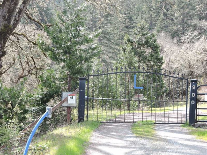 209 Acre Buildable, Recreational : Myrtle Creek : Douglas County : Oregon