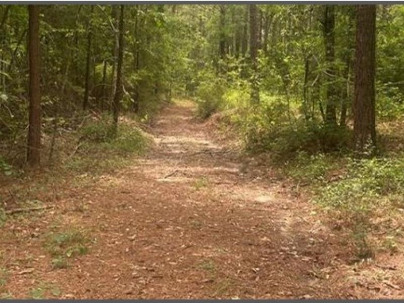 25.3 Acres in Lawrence County in So : Sontag : Lawrence County : Mississippi