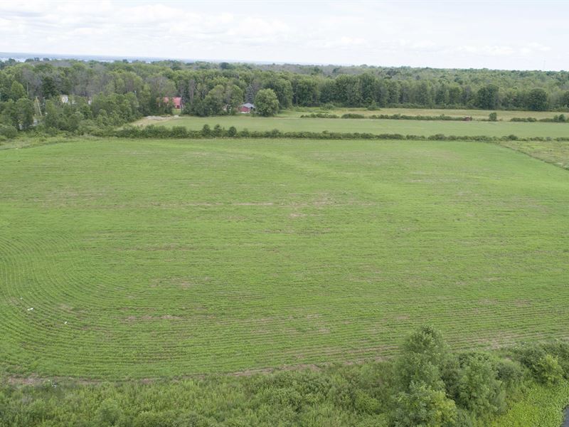 Open/Level Lot Facing Oneida Lake : Sullivan : Madison County : New York