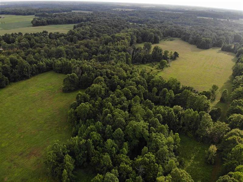 Land For Sale, 116.5 Acres in Jeff Land for Sale in Madison