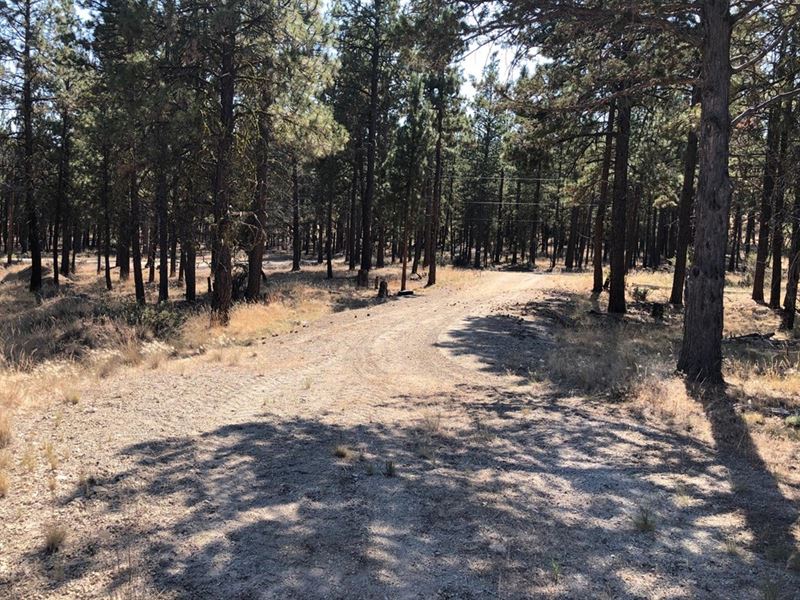 Great Piece of Property : Bonanza : Klamath County : Oregon