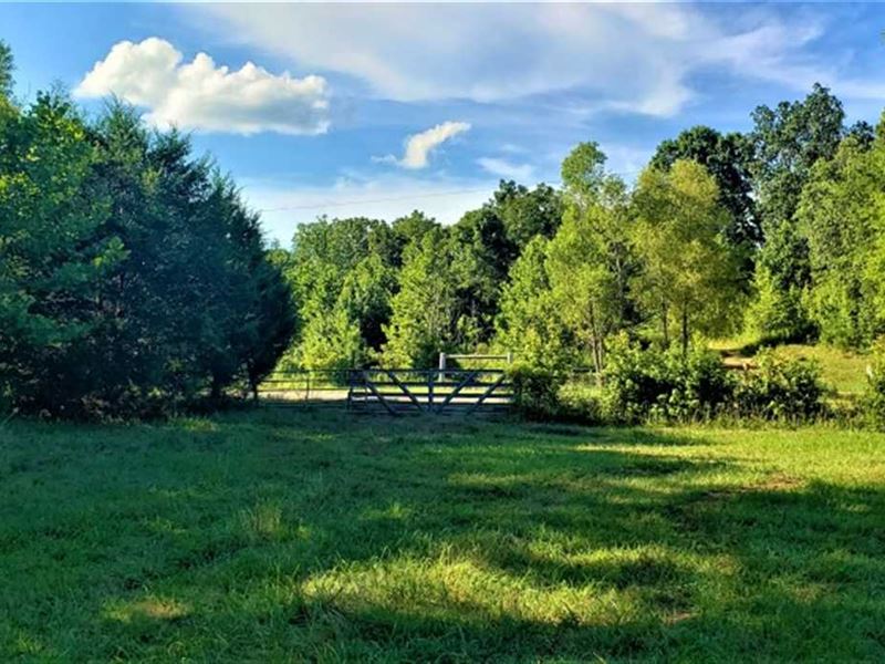 169 Acres Cattle Farm Beautiful Ho Land for Sale in Adamsville
