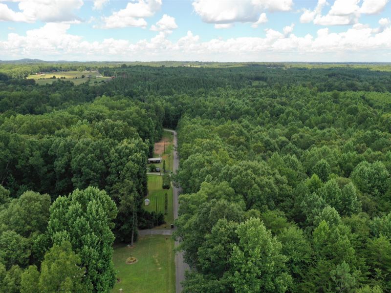 Wooded with Creek Frontage : Cowpens : Cherokee County : South Carolina