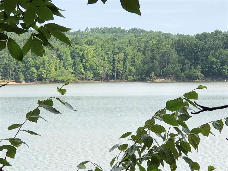 2 Acres Waterfront Buggs Island Land for Sale in Buffalo Junction