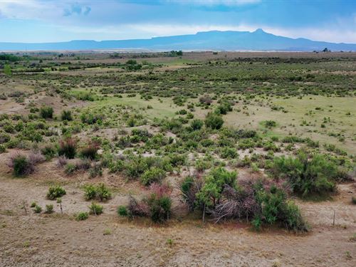 Medical/Law Enforcement Discount : Trinidad : Las Animas County : Colorado