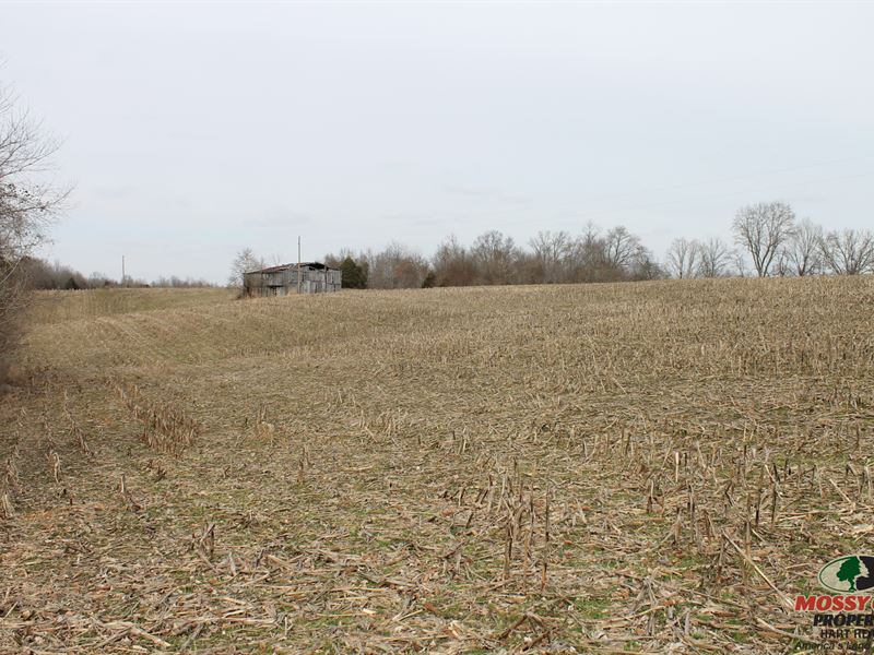 49 Acres of Row Crops and Hunting : Hardyville : Green County : Kentucky
