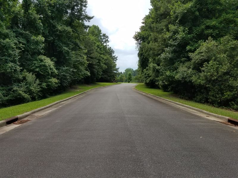 Land for Sale in Beaufort County NC : Washington : Beaufort County : North Carolina
