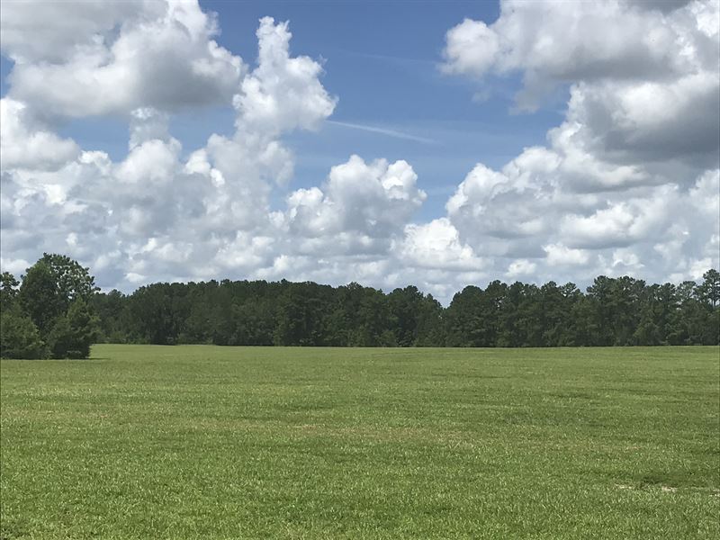 267 Acres in Havana, FL : Havana : Gadsden County : Florida