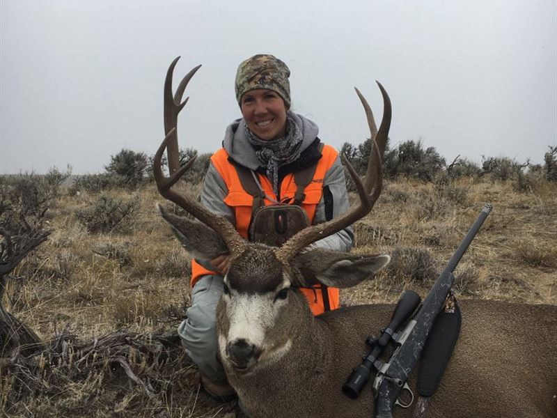 Western Investment Ranch : Craig : Moffat County : Colorado