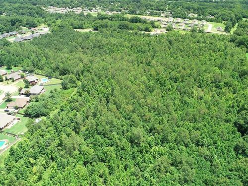 23.70 Acres, Locust Lane, Tupelo : Tupelo : Lee County : Mississippi