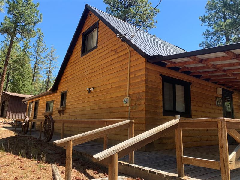 Recreational Cabin Land Mora Cty Land for Sale in Mora, Mora County