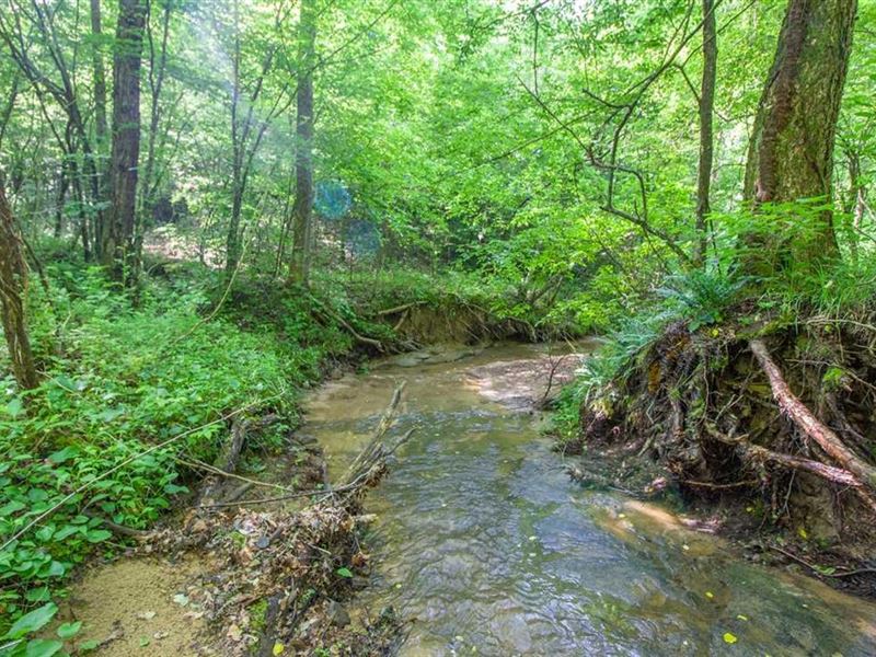 Corn Rd, 54 Acres : Vinton : Gallia County : Ohio