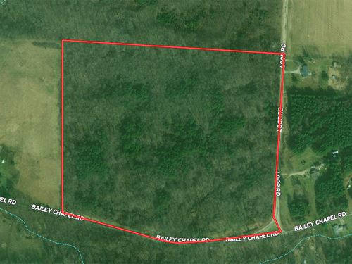 Wooded Recreational Land : Piketon : Pike County : Ohio