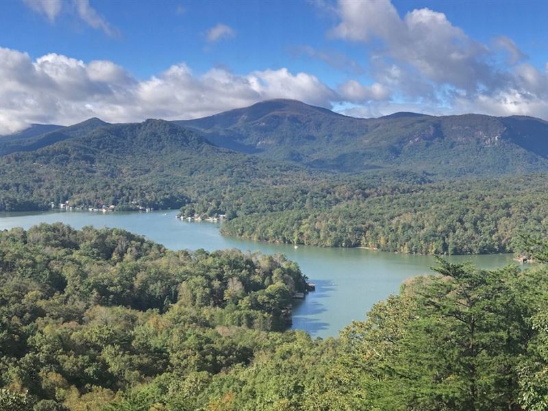 Auction, Lake Lure Mountain Land : Lake Lure : Rutherford County : North Carolina