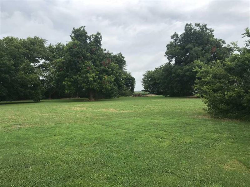 2 Acres Beautiful Tree Shaded : Newellton : Tensas Parish : Louisiana