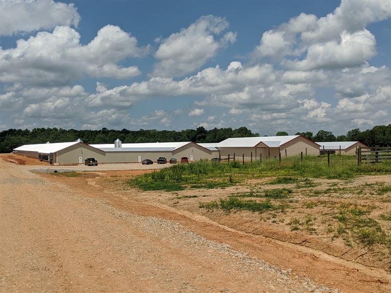 4 House Breeder Farm : Taft : Lincoln County : Tennessee