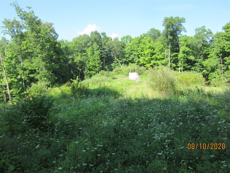 Majestic Maxwell Ridge : West Union : Doddridge County : West Virginia