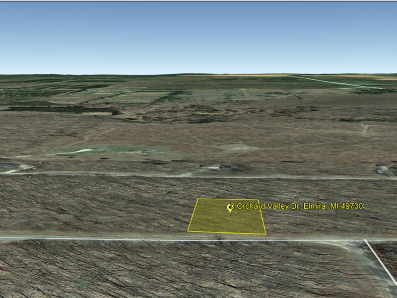 Recreational, Resort-Style Homesite : Elmira : Antrim County : Michigan