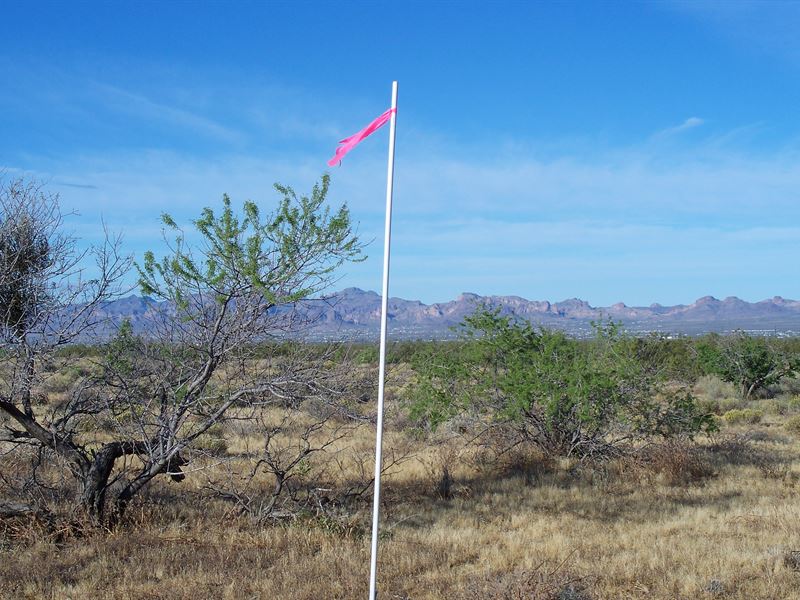 Nice Views, Golden Valley, AZ : Golden Valley : Mohave County : Arizona