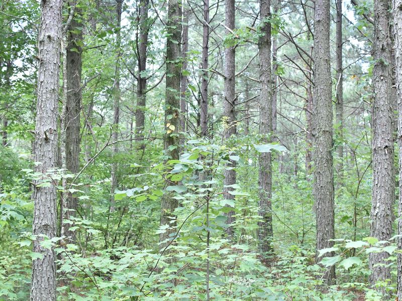 Seq Tract 1008 : Rockwood : Cumberland County : Tennessee