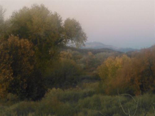 Gorgeous Flipper : Alamogordo : Otero County : New Mexico