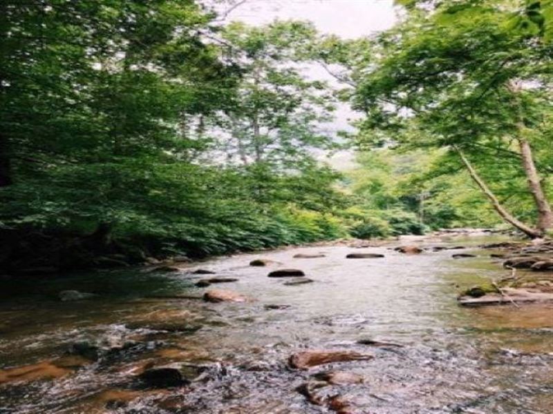 Land Unicoi County, Tn, Rocky Fork : Flag Pond : Unicoi County : Tennessee