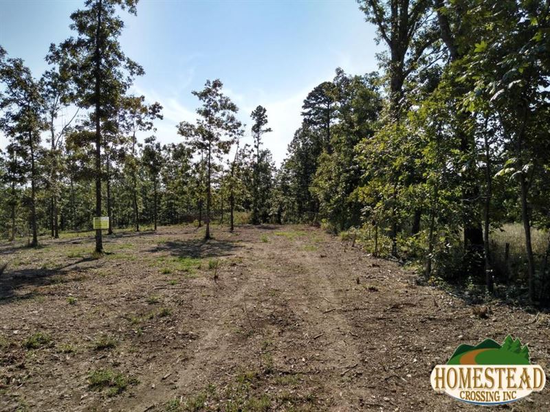 Located in Thomasville, MO : Thomasville : Shannon County : Missouri