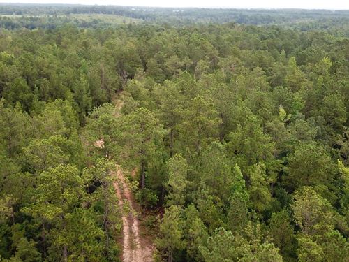 Beaver Creek Tract : Clanton : Chilton County : Alabama