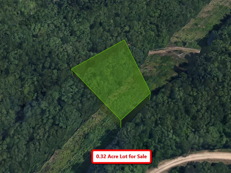 .32 Acre Close to a Lake Land for Sale by Owner in Ridgedale, Taney