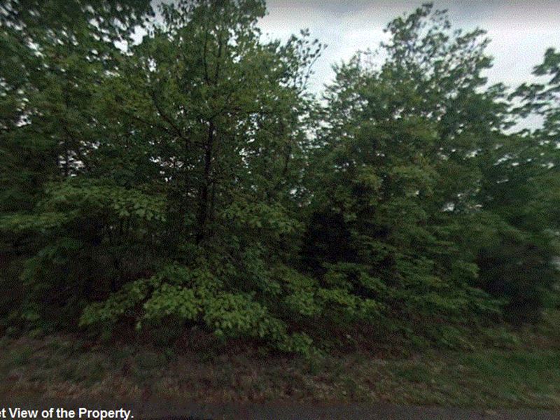 .23 Acre Lot in Izard County, AR : Horseshoe Bend : Izard County : Arkansas