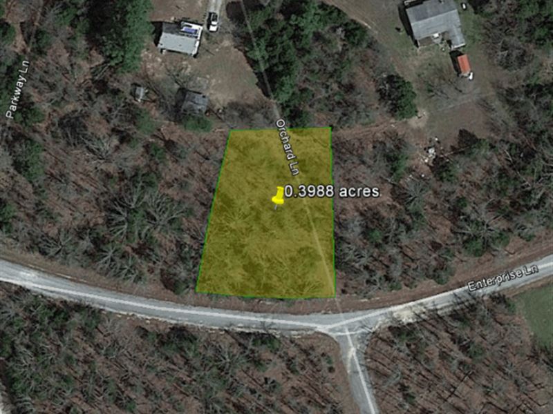 Drive Up, Build a Cabin : Horseshoe Bend : Izard County : Arkansas