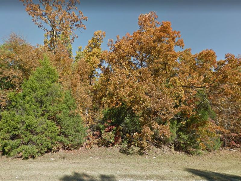 .20 Ac in Horseshoe Bend, Arkansas : Horseshoe Bend : Izard County : Arkansas