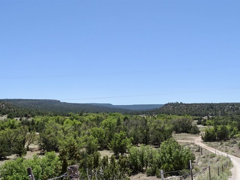 Kit Canyon Ranch : Continental Divide : McKinley County : New Mexico