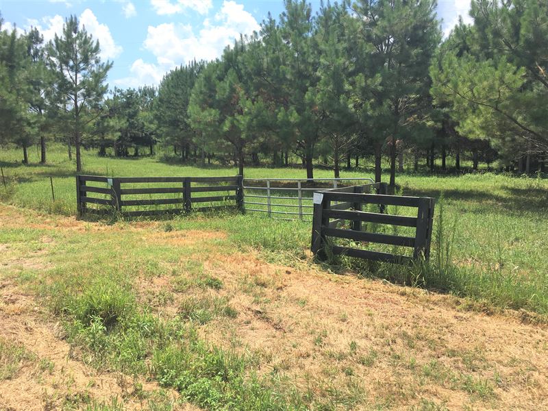 Reduced Cooper Farm Subdivision : Nicholson : Jackson County : Georgia