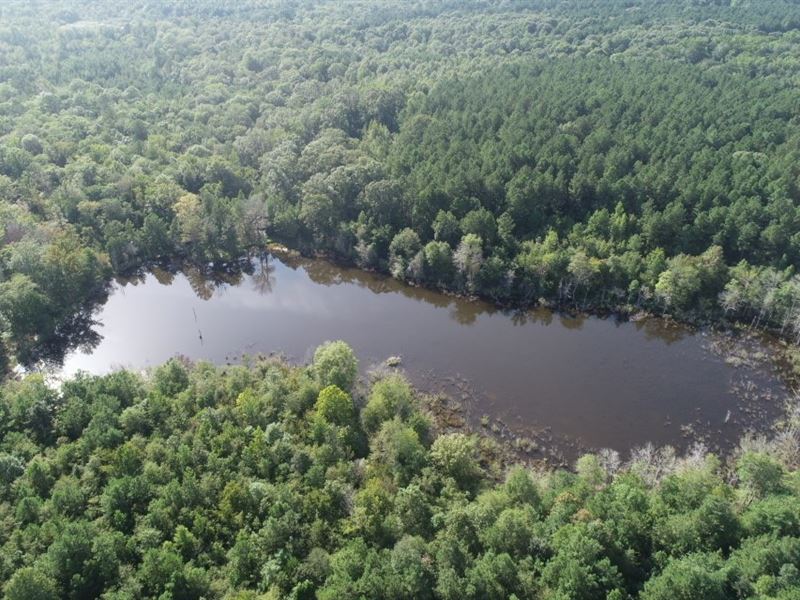Recreational Timberland / w Pond : Emerson : Columbia County : Arkansas