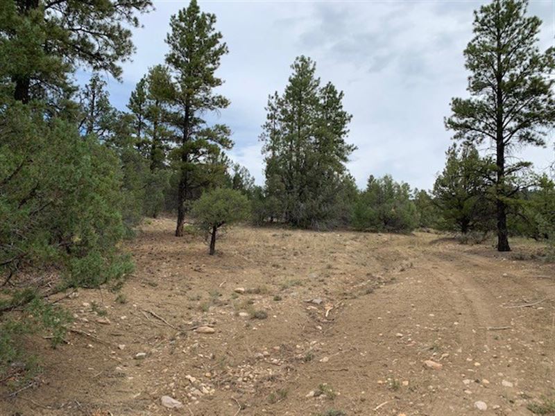 Northern New Mexico Property Land for Sale in Chama, Rio Arriba