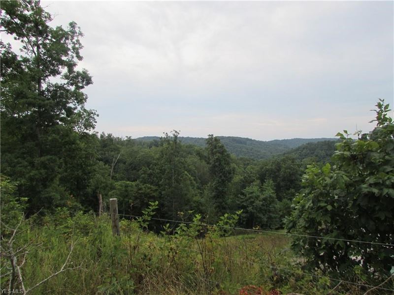 93 Acres of WV Hunting Land Land for Sale in West Union, Doddridge