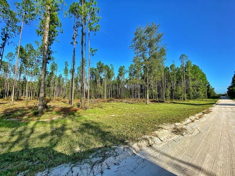 Land For Sale High Springs Fl