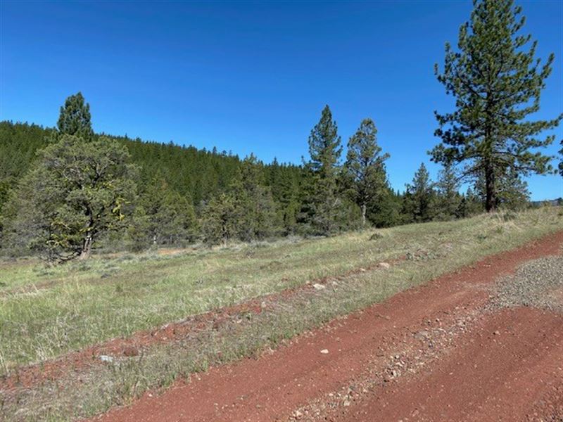 1 Acre of Land For Sale in Adin CA Land for Sale in Adin, Modoc