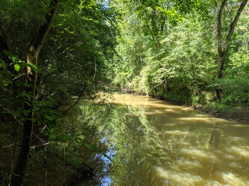 Ogeechee River Frontage : Sparta : Hancock County : Georgia