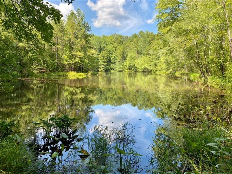 90 Acres with Streams & Pond : Land for Sale in Enoree, Spartanburg ...