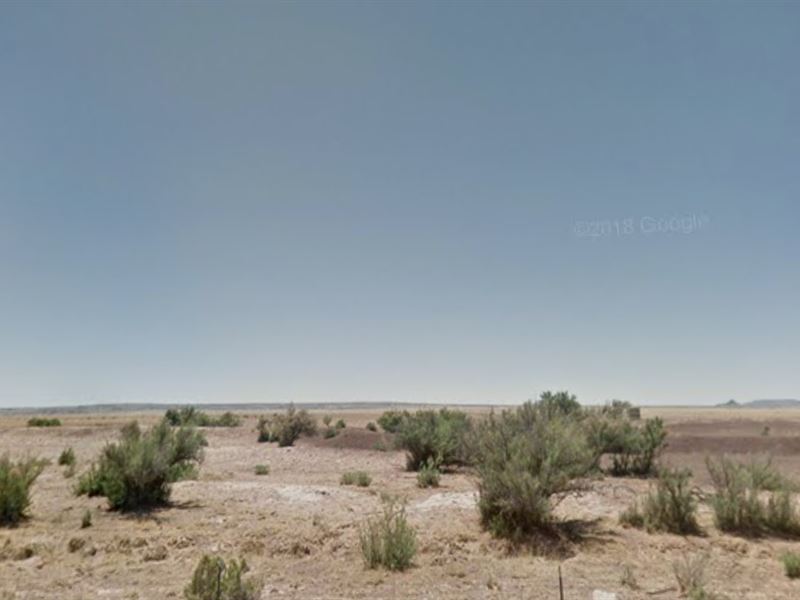 40 Acres Navajo County : Holbrook : Navajo County : Arizona
