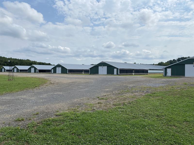 Clean 6 House Poultry Broiler Farm : Plainville : Gordon County : Georgia