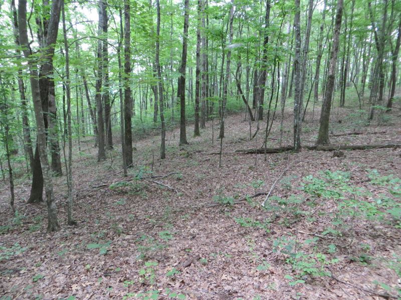 Gated Community, Mtn Views : Dunlap : Sequatchie County : Tennessee