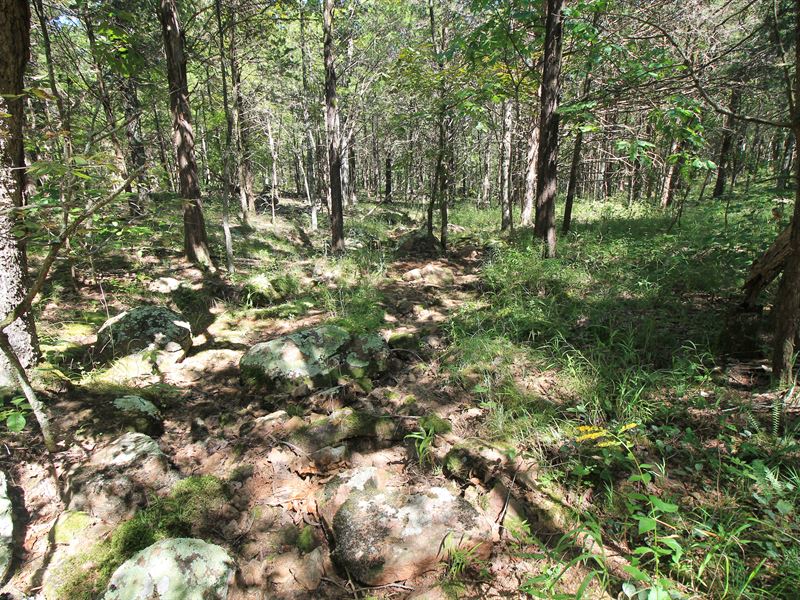 15 Ac No Restrictions Farmington MO : Farmington : Saint Francois County : Missouri